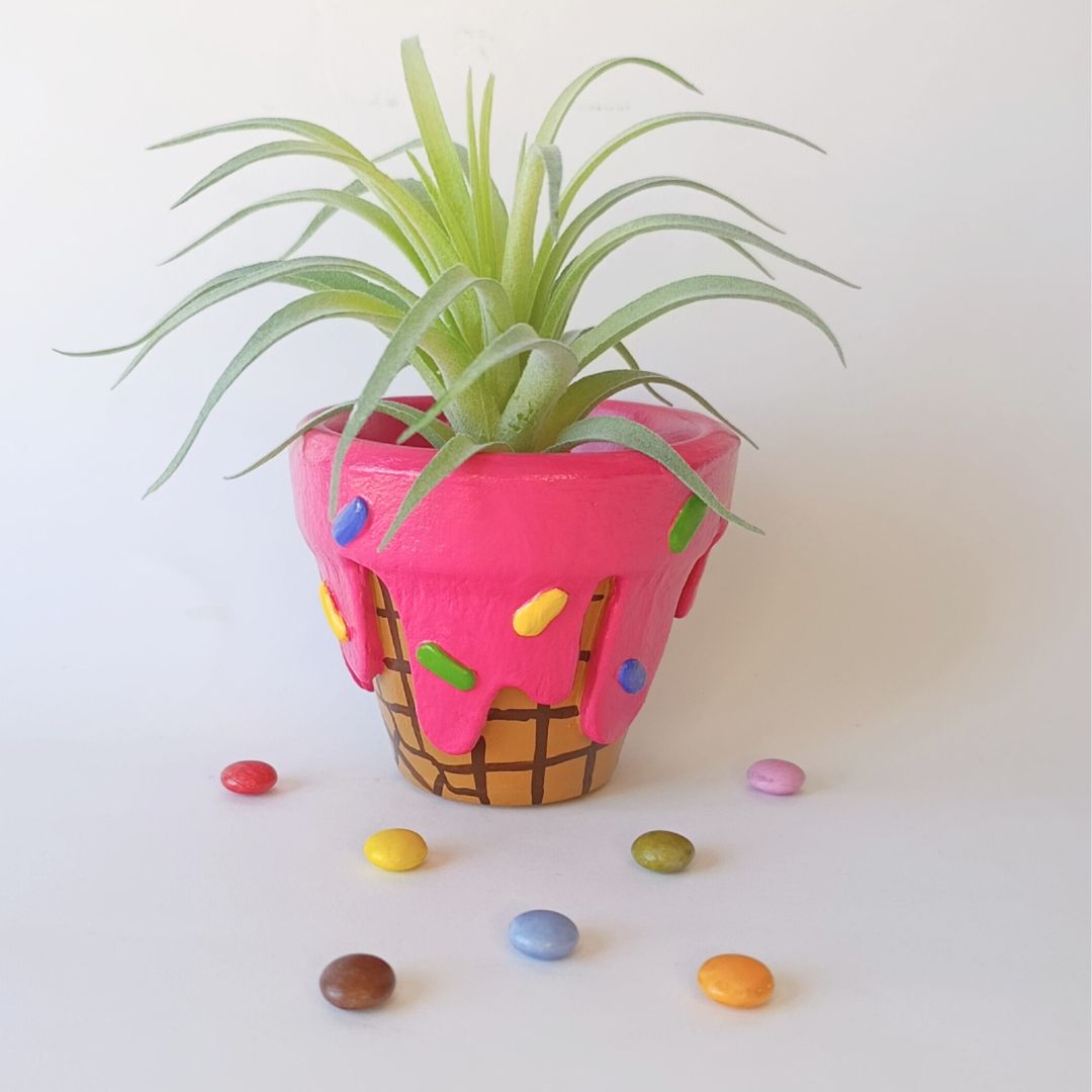 🍦🌸 Maceta Helado 9cm🍦🌸
